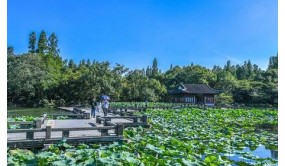 杭州西湖最热门景点：水乡与园林相映，营造国画级名胜区！